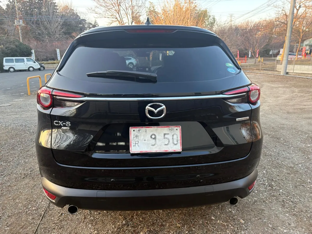 2021 Mazda CX-8 Carousel 4