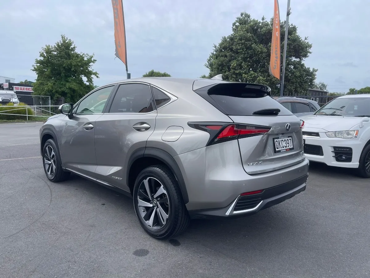2020 Lexus NX 300h Carousel 6