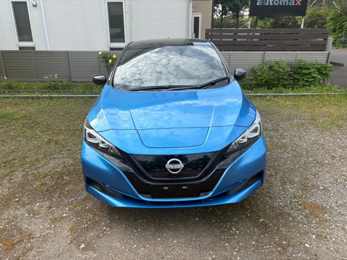 2022 Nissan Leaf Carousel 9