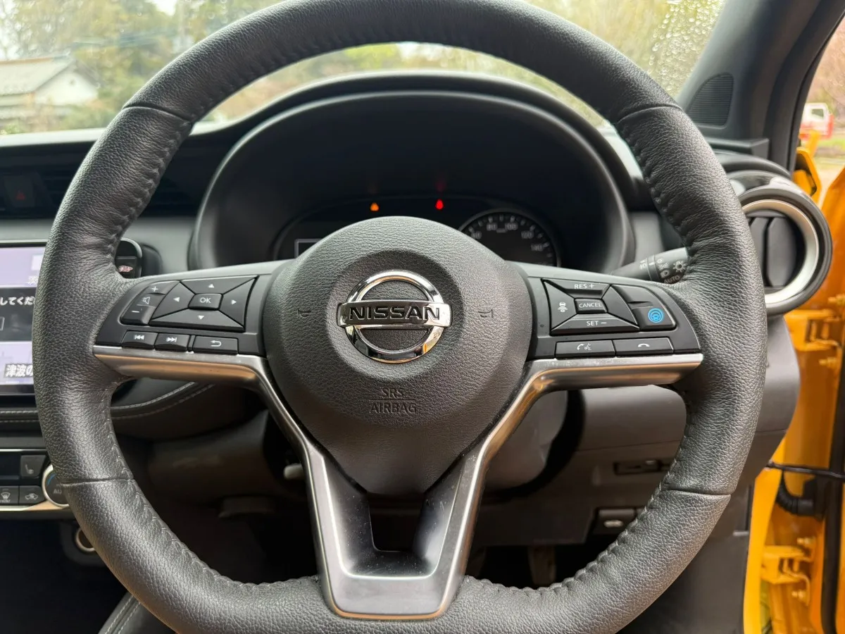 2020 Nissan Carousel 2