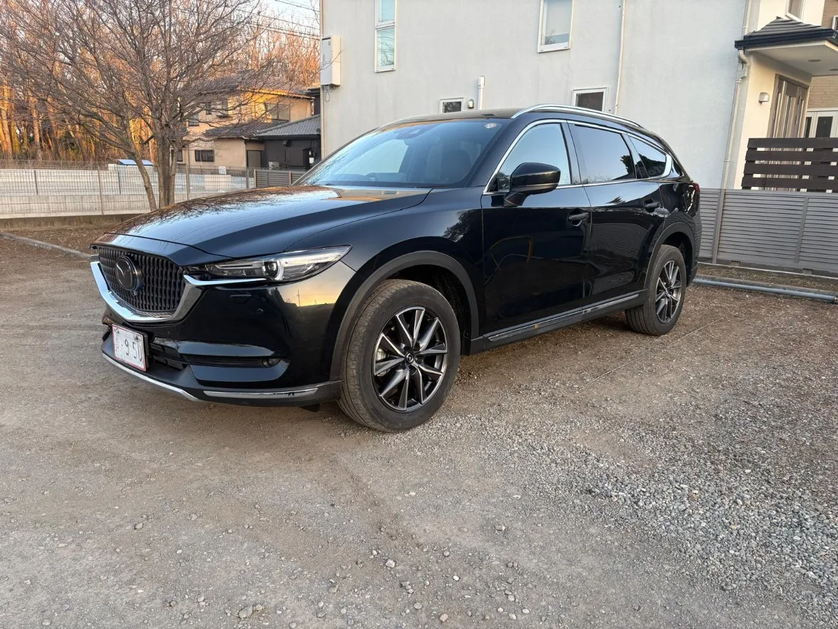 2021 Mazda CX-8 Carousel 7