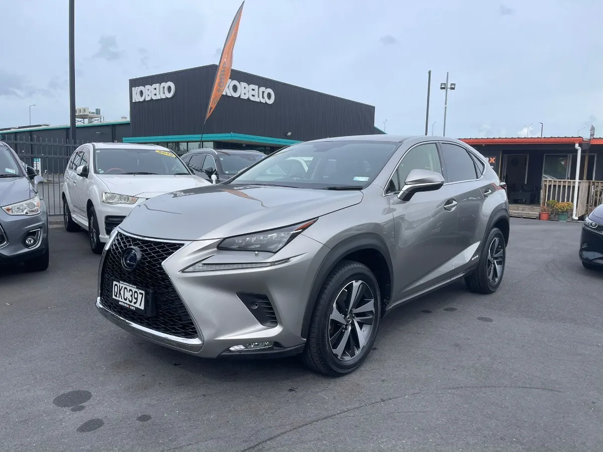 2020 Lexus NX 300h Carousel 8