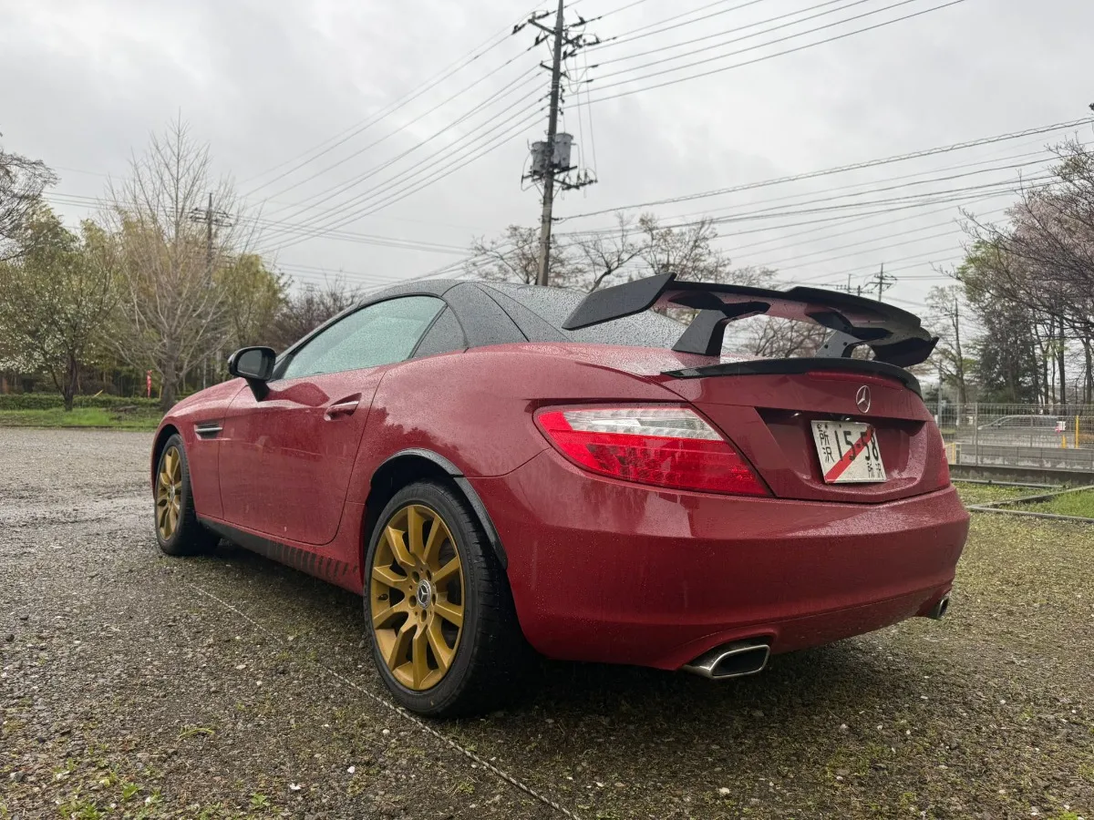 2012 Mercedes-Benz SLK 200 Carousel 6