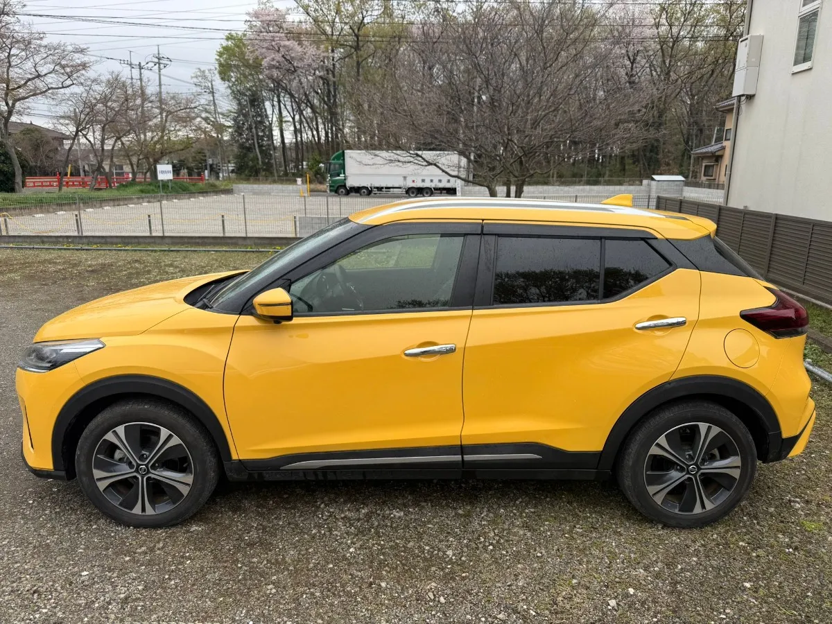 2020 Nissan Carousel 7