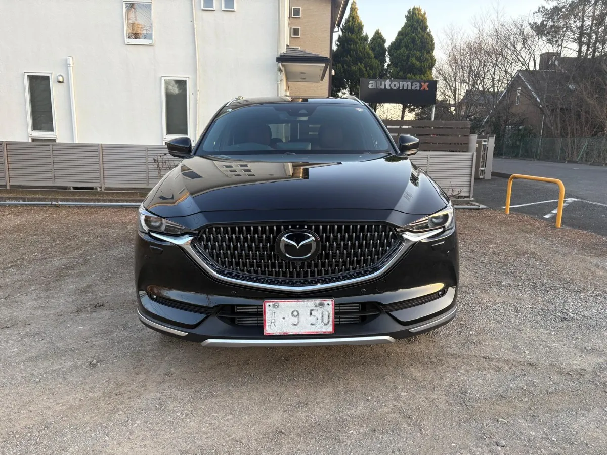 2021 Mazda CX-8 Carousel 8