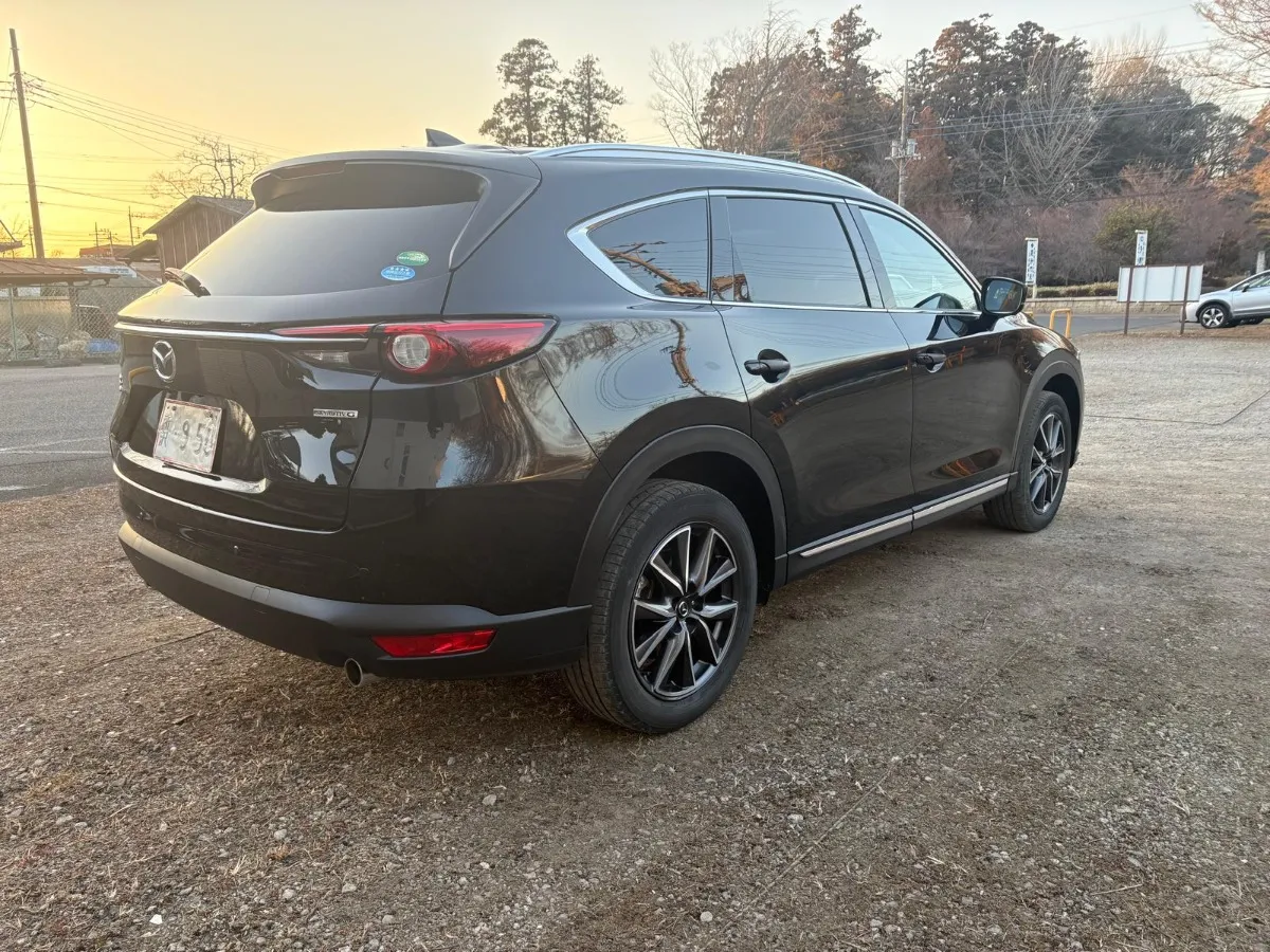 2021 Mazda CX-8 Carousel 3