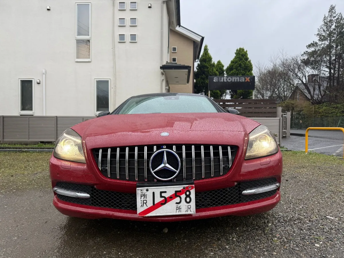 2012 Mercedes-Benz SLK 200 Carousel 9