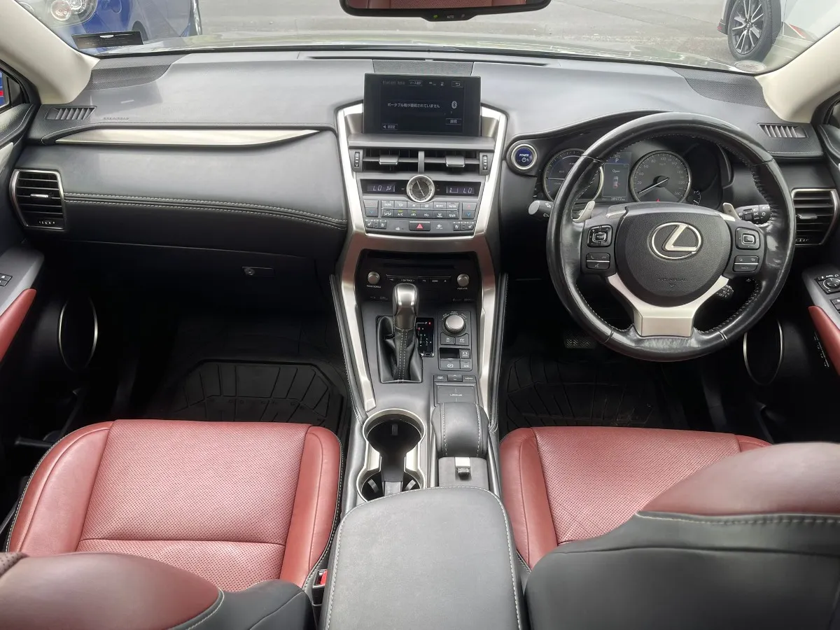 2020 Lexus NX 300h Carousel 2