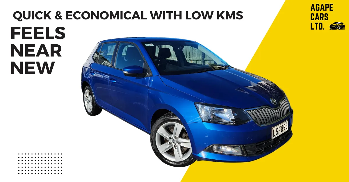 2018 Skoda Fabia 81Kw TSi DSG
