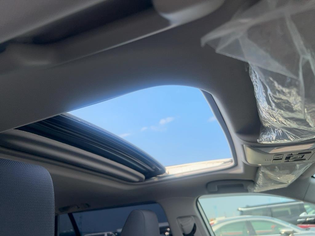 2019 Toyota RAV4 HYBRID Carousel 5