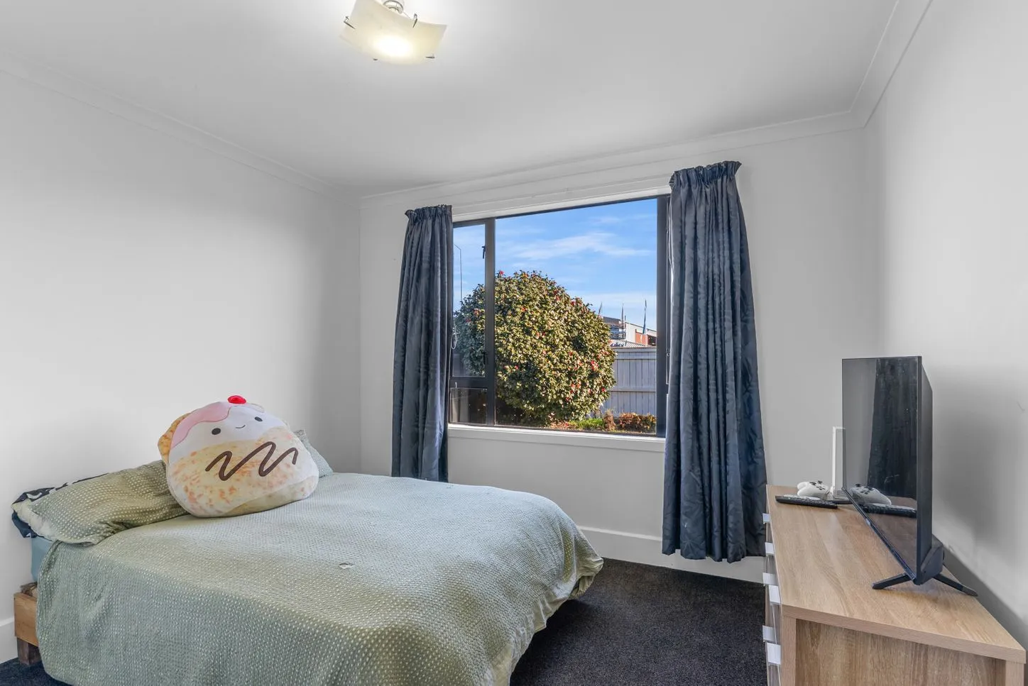162 Alford Forest Road, Ashburton, NZ Carousel 2