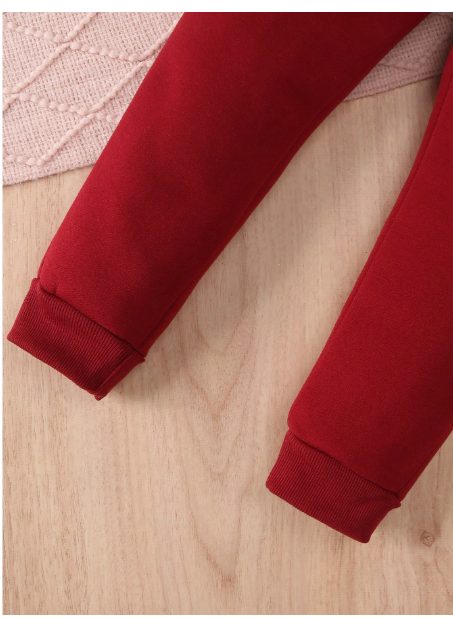 Young Girls Letter Print Minimalist Hoodie Sweatshirt And Pants Casual 2 Pieces Set Carousel 3