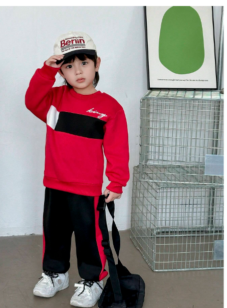 2pcs Young Boys Casual Color Block Splice Hooded Sweatshirt Top + Sweatpants Outfit Set Carousel 2