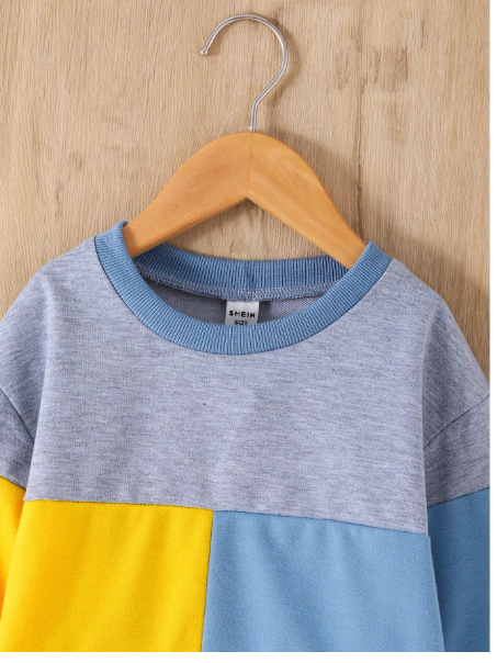 2pcs/Set Young Boy Casual Contrast Color Block Crew Neck Sweatshirt And Relaxed Pants Carousel 2