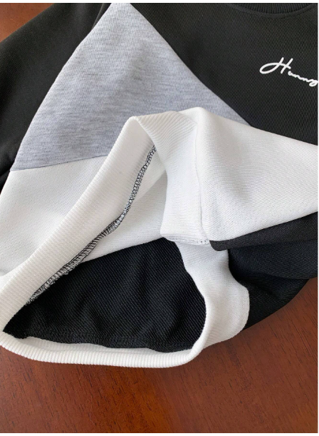 2pcs Young Boys Casual Sports College Street Chic Cute Cool Letter Print Colorblock Sweatshirt + Pants Set Carousel 6