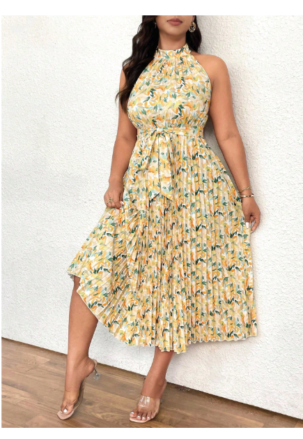 Plus Size Women Floral Print Halter Neck A-Line Pleated Hem Dress Carousel 4