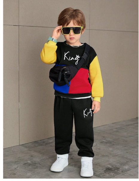 pcs/Set Young Boys Casual Lovely Daily Comfortable Versatile Color-Blocking Crew Neck Long