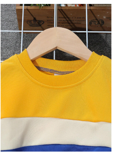 2pcs Young Boy Casual Set, Crew Neck Contrast Color Long Sleeve Top And Drawstring Waist Pants Carousel 3