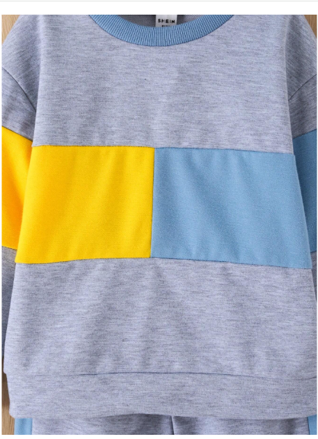 2pcs/Set Young Boy Casual Contrast Color Block Crew Neck Sweatshirt And Relaxed Pants Carousel 4