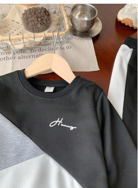 2pcs Young Boys Casual Sports College Street Chic Cute Cool Letter Print Colorblock Sweatshirt + Pants Set Carousel 5