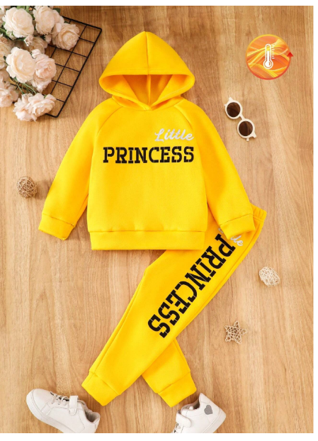 2pcs/Set Young Girl Casual English Letter Print Hooded Sweatshirt & Letter Graphic Pants Set