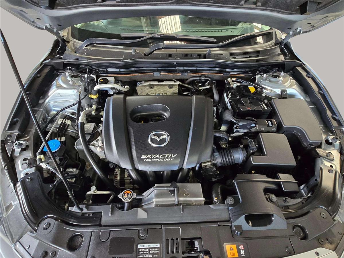 2016 Mazda Axela Carousel 17