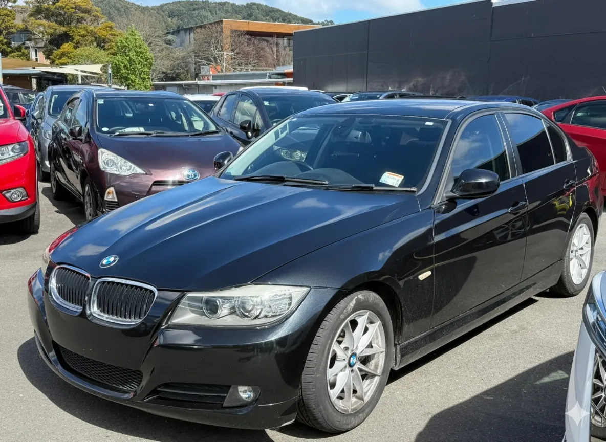 2011 BMW 320i Carousel 8