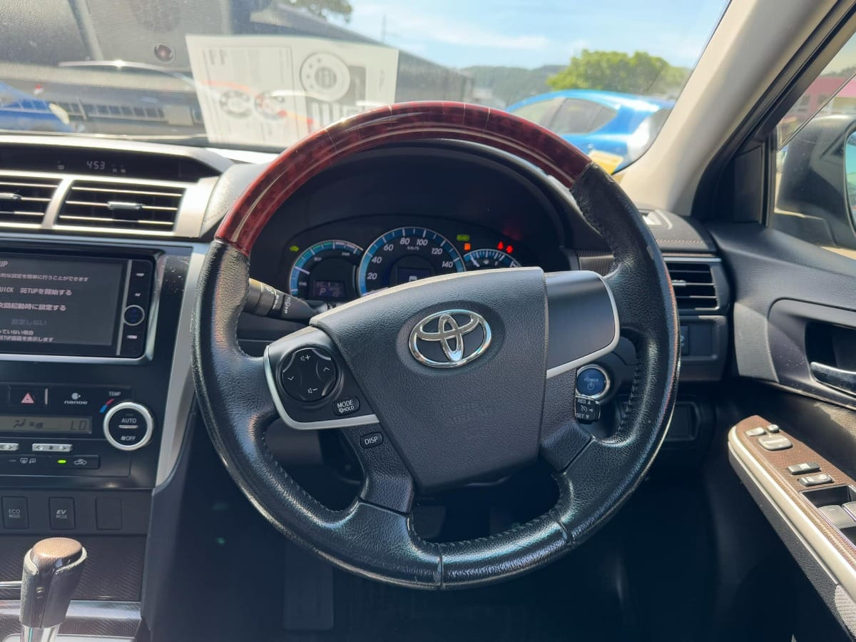 2013 Toyota Camry Carousel 13