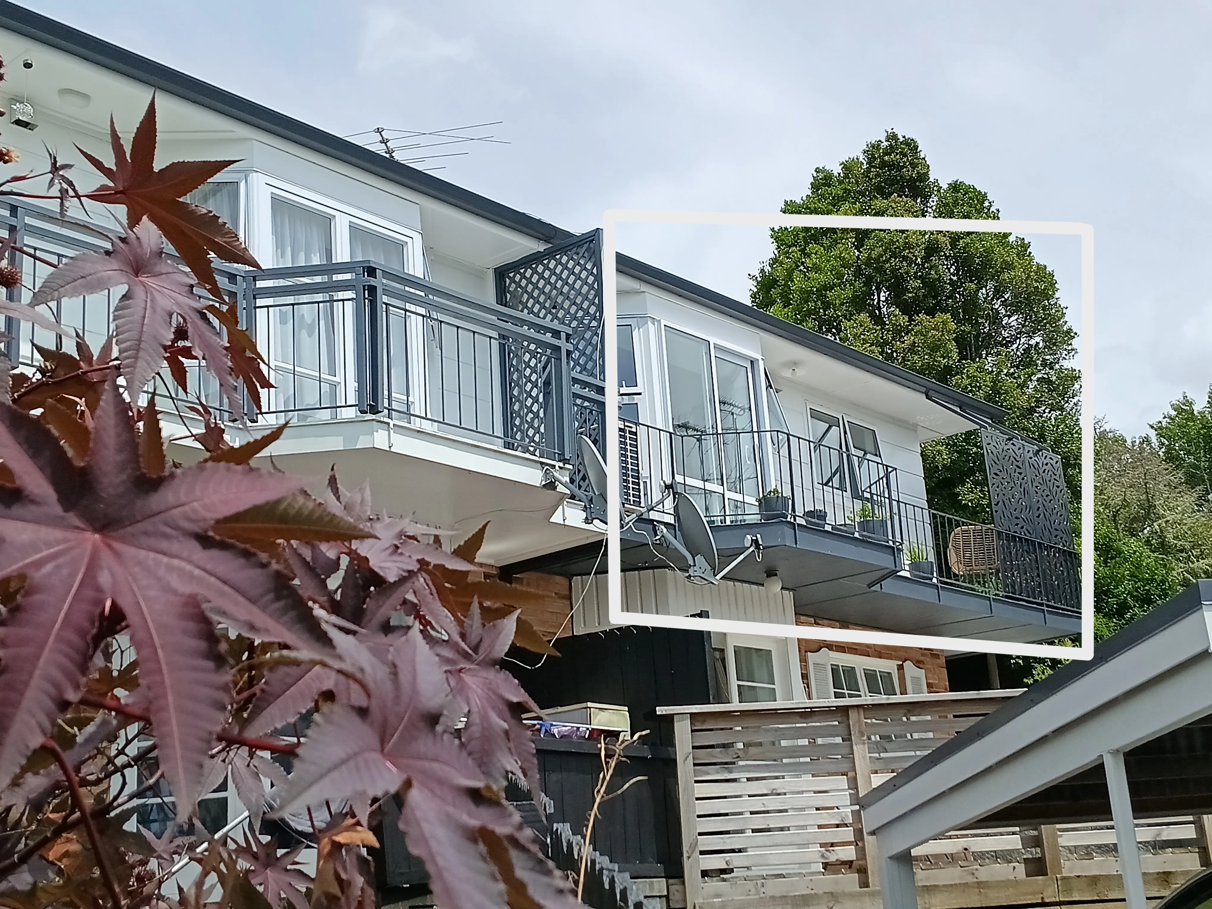 Cute and Cosy in sought-after Meadowbank