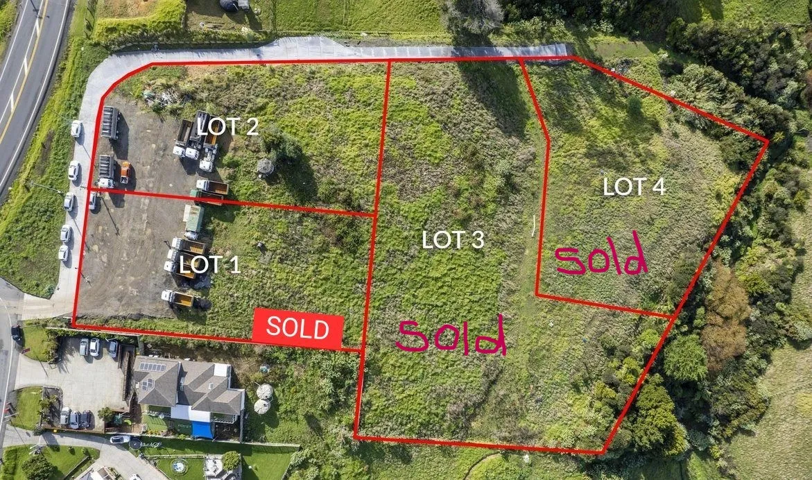 Vintage Legacy Bare Land - Flatbush Carousel 2