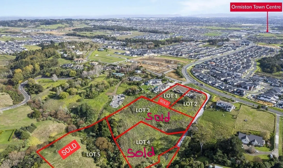 Vintage Legacy Bare Land - Flatbush Carousel 1