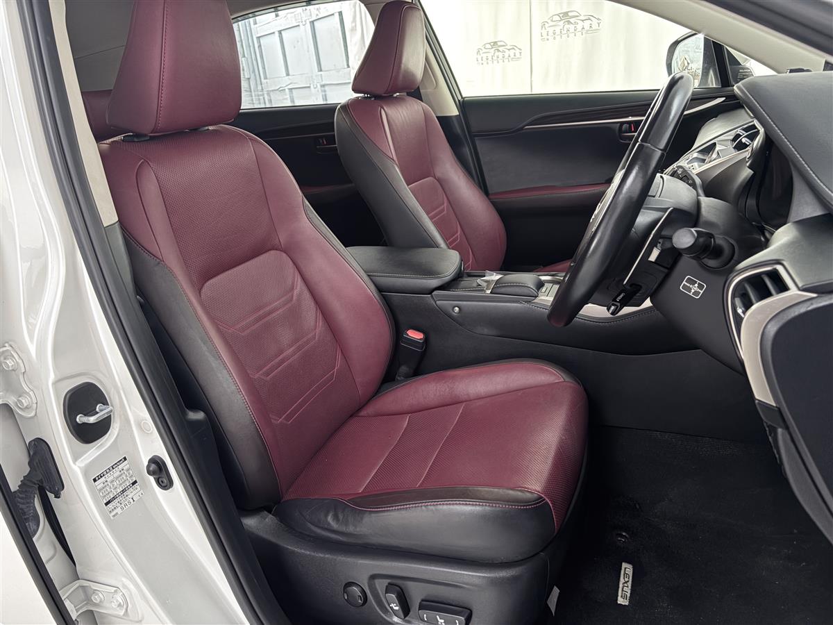 2019 Lexus NX 300h Sunroof,BSM, Eletric boot,Vented seat Carousel 11