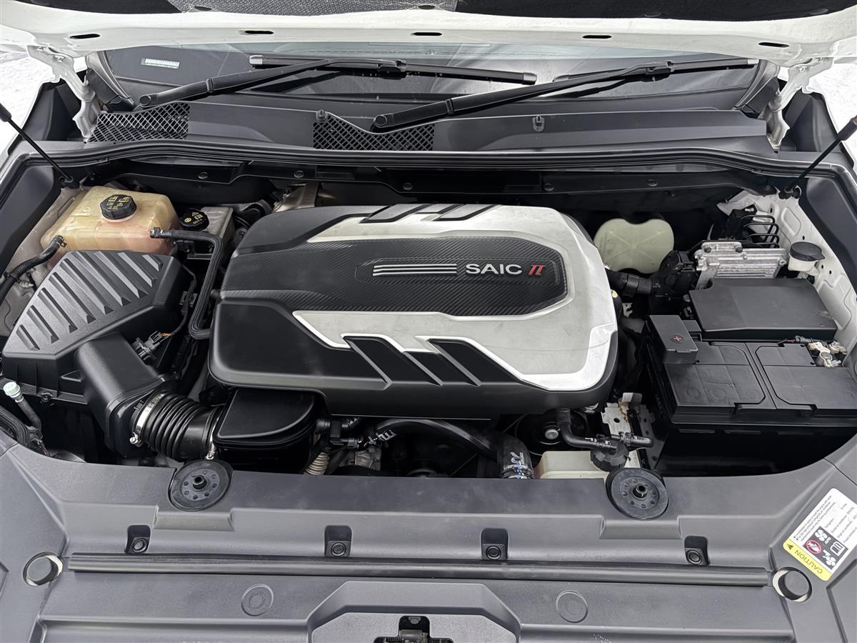 2020 LDV D90 2.0L Bi-Turbo Diesel 160kW,Leather Carousel 18