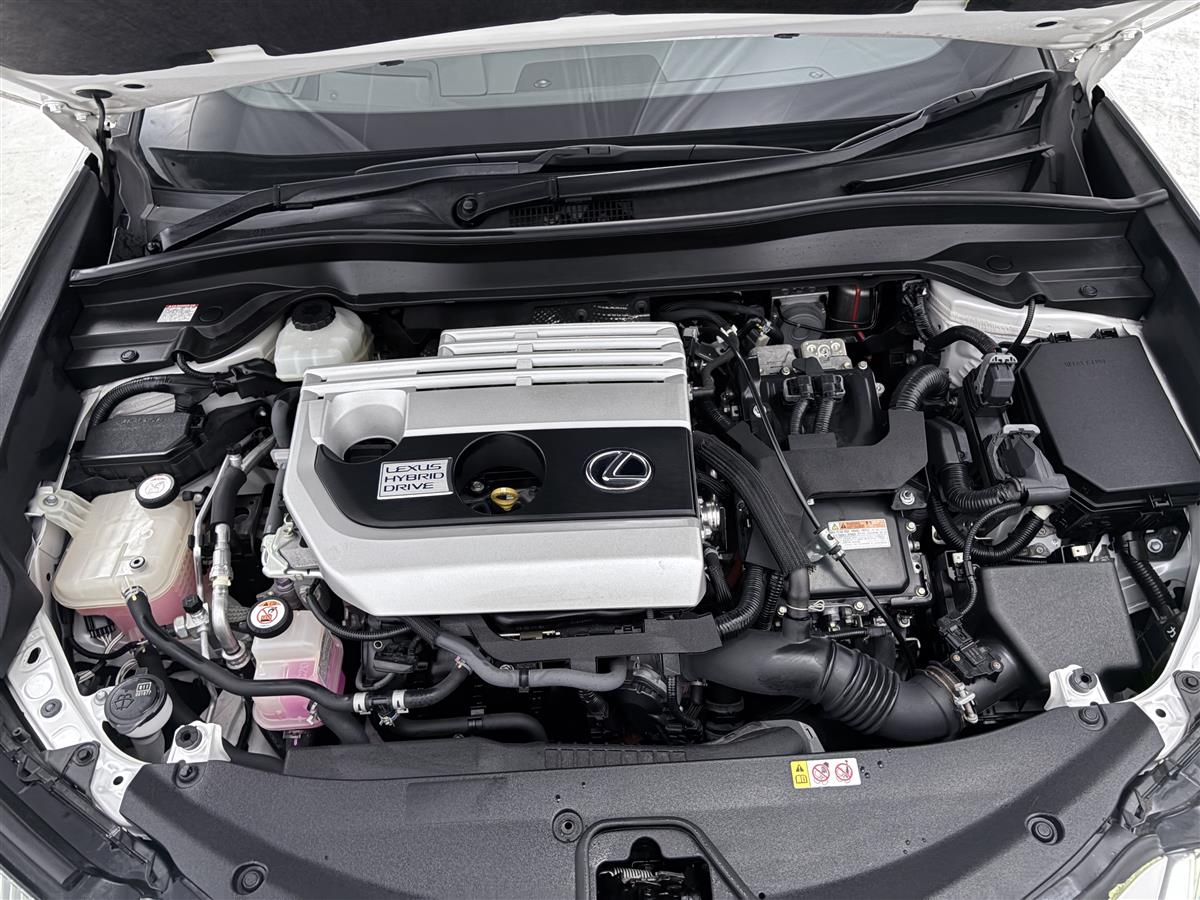 2019 Lexus UX 250h hybrid,Eletric Seat,BSM,360 camera Carousel 19