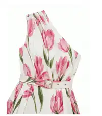 CURVE Plus Size Women's Asymmetric Neck Printed Dress, Waist-Cinching Style Carousel 2