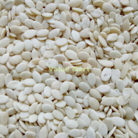 Watermelon Seeds Magaj 250g