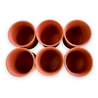 Clay Tea Cup Set of 6 Carousel 1