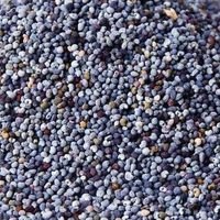 Poppy Seeds Blue 100g