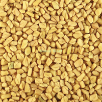 Fenugreek Seeds Methi Dana 100g