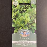 Mr. Fothergills Spinach Seeds