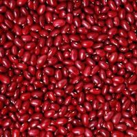 Red Kidney Beans Small
