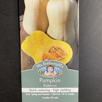 Mr. Fothergills Butternut Pumpkin Seeds