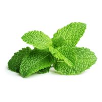 Mint Bunch