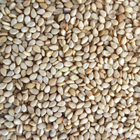 Sesame Seeds Natural 250g
