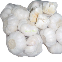 Fresh Garlic 500g