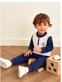 2pcs Baby Boys/Toddlers Comfort Soft Colorblock Stand Collar Zip Sweatshirt & Pants Set