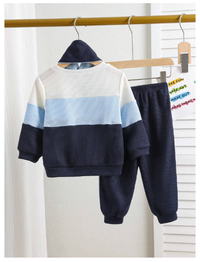 3pcs/Set Infant/Toddler Knitted Textured Jacquard Double Layer Padded Sweatshirt, Pants And Scarf Set  Carousel 1