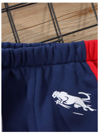  2pcs Young Boy Casual Sporty Street Chic Cute Stylish Leopard Tricolor Print Zip-Up Hoodie + Long Pant