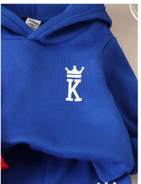 4pcs Baby Boys Letter Print Hoodie Sweatshirt And Sweatpants Set