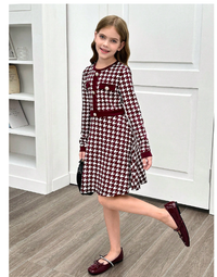 Tween Girl Houndstooth Patchwork Button Decor Round Neck Fitted Elegant Long Sleeve Knit Dress Carousel 4